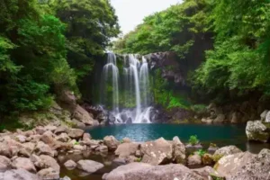 제주도 천제연 폭포