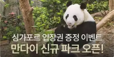 싱가포르 만다이 동물원 이벤트