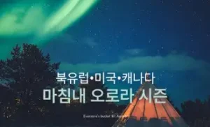 kkday 할인코드 12월 초특급 80% 할인 혜택! 여행상품 특별 쿠폰 프로모션 정보 46 kkday 오로라 시즌 할인