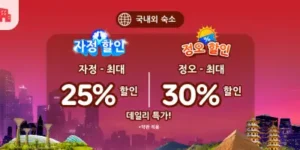 아고다 정오자정세일