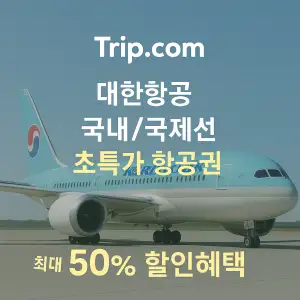 트립닷컴 할인코드 안내 – 7월 항공권, 호텔, 액티비티, 투어, 티켓, 쿠폰 사용법까지 정리 54 트립닷컴 항공권 대한항공 국내 국제노선 최대 50% 초특가 할인