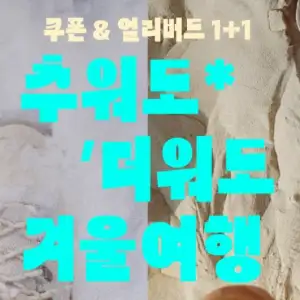 kkday 추워도 더워도 겨울여행