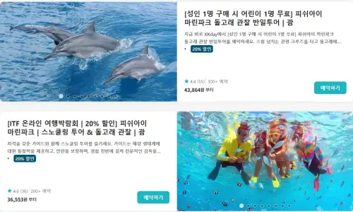 괌 50% 특가 할인