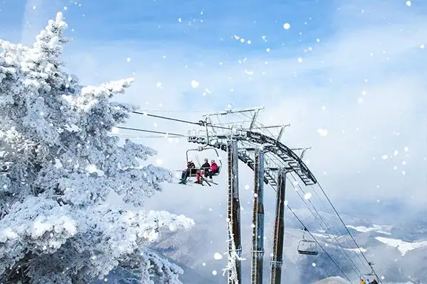 놀 NOL 전국 스키장 얼리버드 초특가 최대 93% 할인 프로모션 4 모나용평리조트 스키장