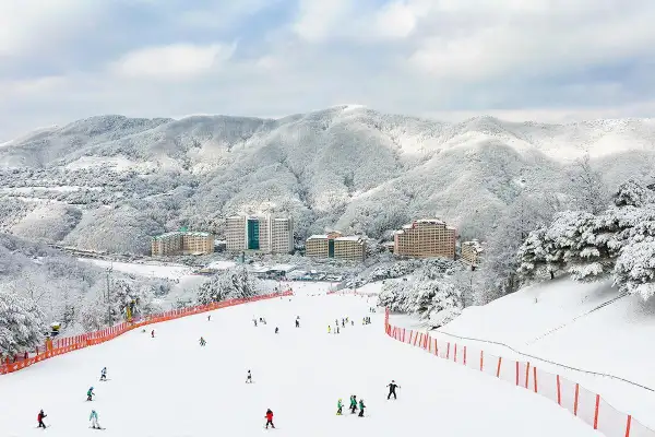 놀 NOL 전국 스키장 얼리버드 초특가 최대 93% 할인 프로모션 1 비발디파크 스키장