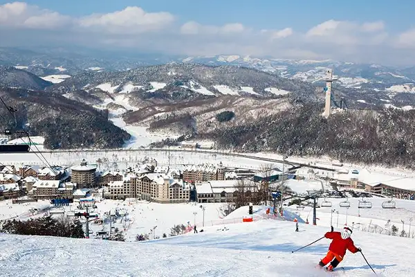 놀 NOL 전국 스키장 얼리버드 초특가 최대 93% 할인 프로모션 5 알펜시아리조트 스키장