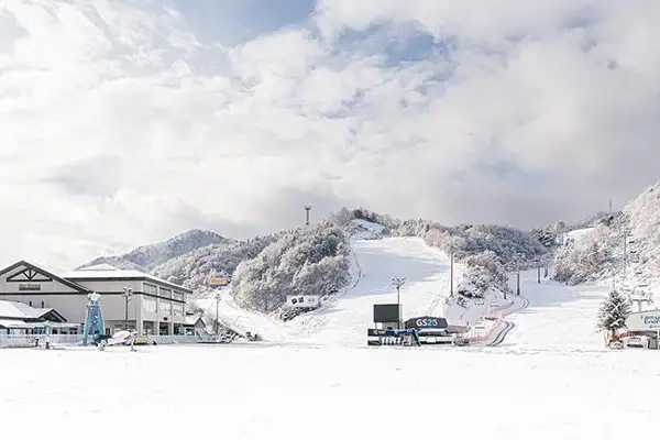 놀 NOL 전국 스키장 얼리버드 초특가 최대 93% 할인 프로모션 2 엘리시안 강촌 스키장