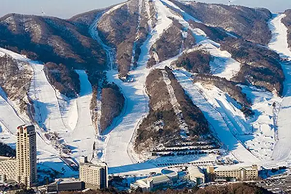 놀 NOL 전국 스키장 얼리버드 초특가 최대 93% 할인 프로모션 7 휘닉스파크 스키장