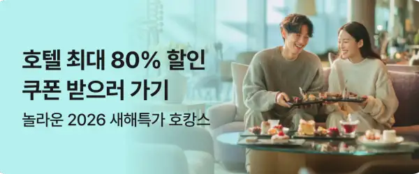 놀 호텔 최대 80% 할인